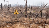 40 χρόνια αργότερα, η ραδιενεργή μόλυνση από το Chernobyl δεν είναι αυτή που περίμεναν οι επιστήμονες (ScienceDaily)