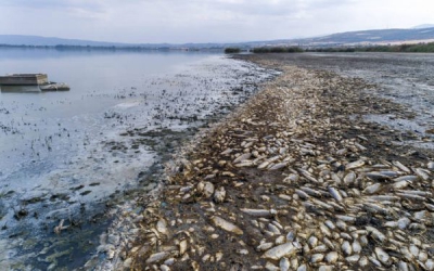 Reuters: Κρούει τον κώδωνα του κινδύνου για την στάθμη των υδάτων στη λίμνη Κορώνεια