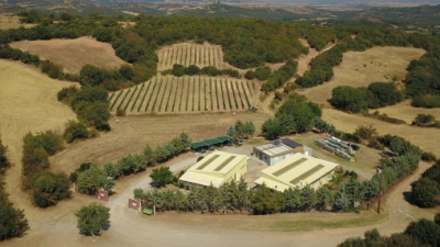 Η Θράκη, η καινοτομία και η σύγχρονη μεταλλευτική δραστηριότητα στο επίκεντρο της 90ης  ΔΕΘ
