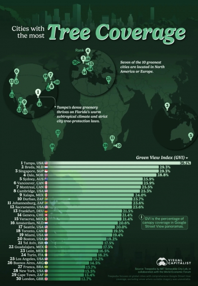 Ποιες είναι οι πόλεις του κόσμου με την περισσότερη κάλυψη δέντρων; (Visual Capitalist)