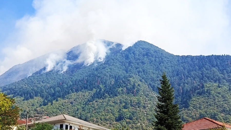 Κόνιτσα: Υπό έλεγχο η πυρκαγιά στην Τραπεζίτσα μετά από 21 ημέρες - Περίπου 10.000 στρέμματα δάσους κάηκαν